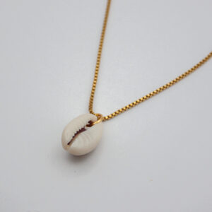 Shell charm